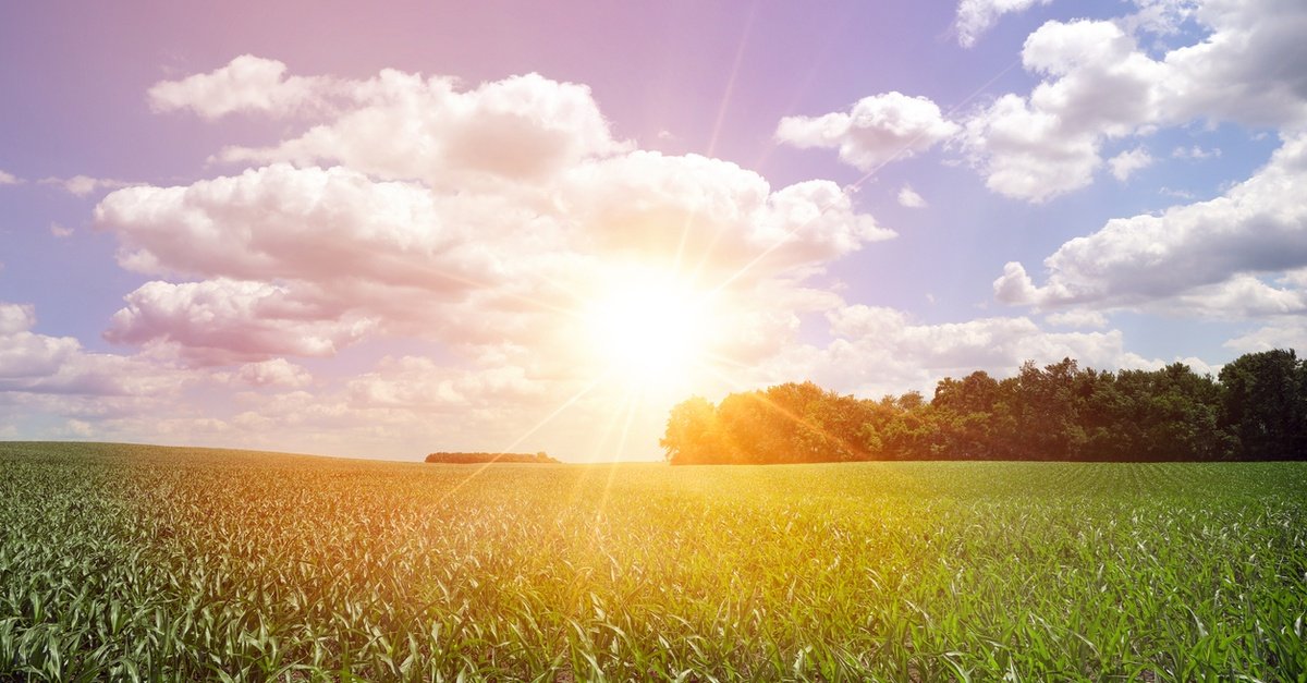 The RISE Rule and Rural Healthcare: Potential Impacts